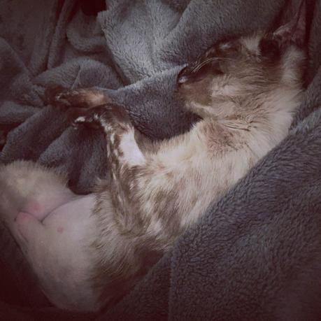 Mi semana en imágenes VOL. 1 Mi semana en imágenes VOL. 1