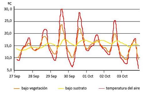 grafica verano