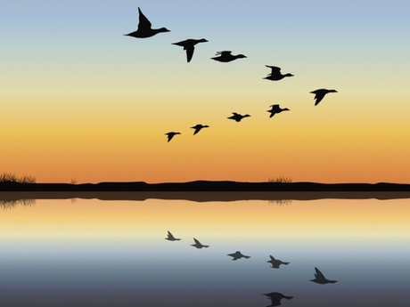 ♥ Ohptim... Un nuevo proyecto en mi vida