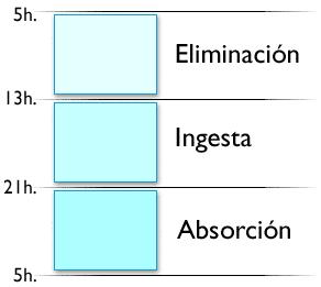 Los ciclos naturales del cuerpo