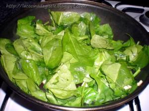 Involtini di pollo (rollitos de pollo)