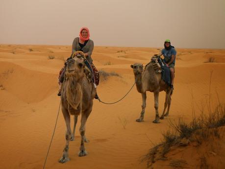 TUNEZ:UN PASEO EN DROMEDARIO HASTA KSAR GHILANE