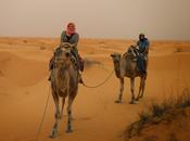 Tunez:un paseo dromedario hasta ksar ghilane
