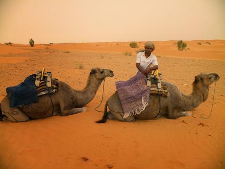 TUNEZ:UN PASEO EN DROMEDARIO HASTA KSAR GHILANE