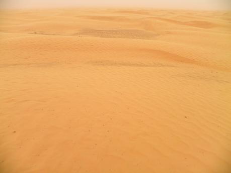 TUNEZ:UN PASEO EN DROMEDARIO HASTA KSAR GHILANE