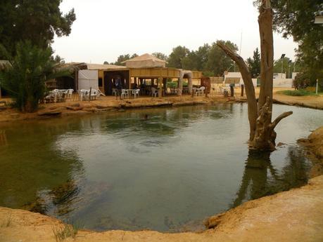 TUNEZ:UN PASEO EN DROMEDARIO HASTA KSAR GHILANE