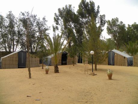 TUNEZ:UN PASEO EN DROMEDARIO HASTA KSAR GHILANE