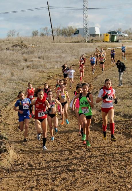 CAMPEONATO AUTONÓMICO DE CAMPO A TRAVÉS 2015