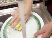 limpieza básica inocuidad alimentos