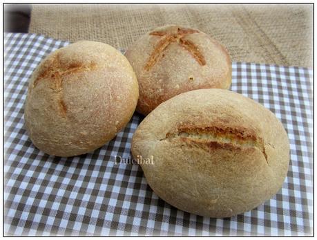 PANECILLOS (Xavier Barriga)