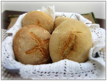 PANECILLOS (Xavier Barriga)