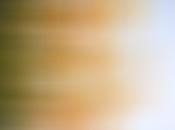 OCNELIE ILLMATIK PORN MASK single