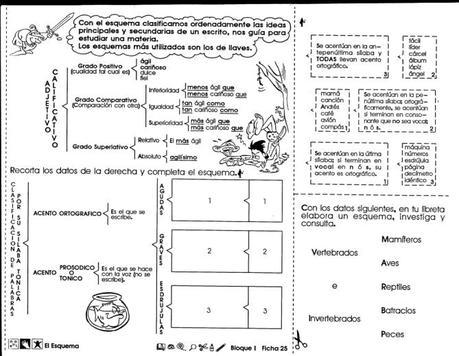 El esquema: 6to grado El esquema