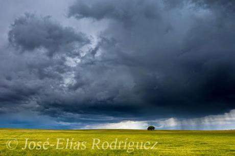 Nubes