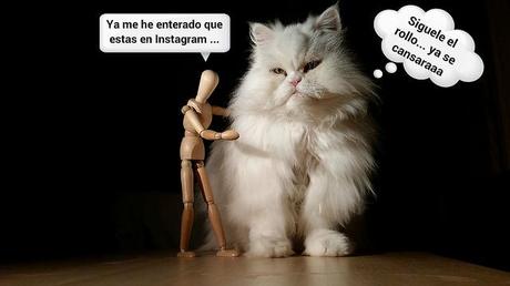 El Patxi. El Reencuentro III