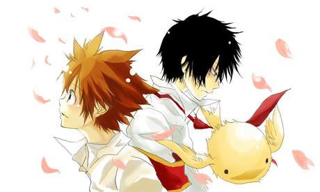 Actuando en Consecuencia