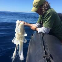 12 propósitos sostenibles en 12 posts Pesca vida. Llévate el pástico que consigas en la naturaleza