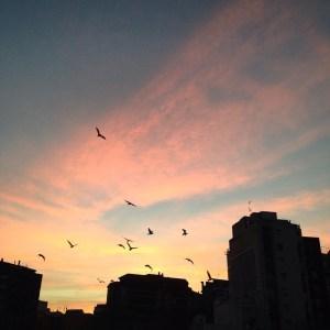 Amanecer-en-el-Clot Amanecer-en-el-Clot