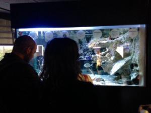 Biodiverdidad del mediterráneo