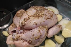 pollo y Pollo asado con mostaza Antigua.