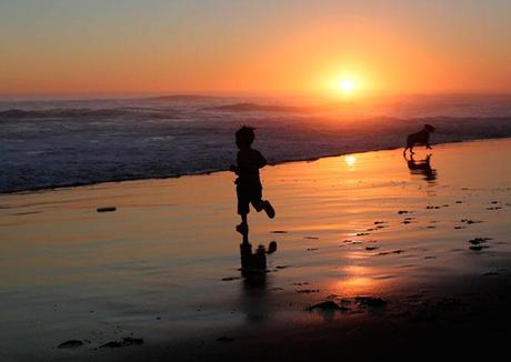 niño jugando con su perro