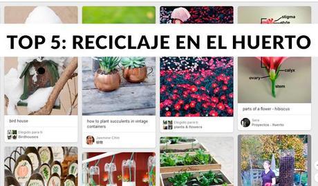 TOP 5: DIYs de reciclaje en el huerto
