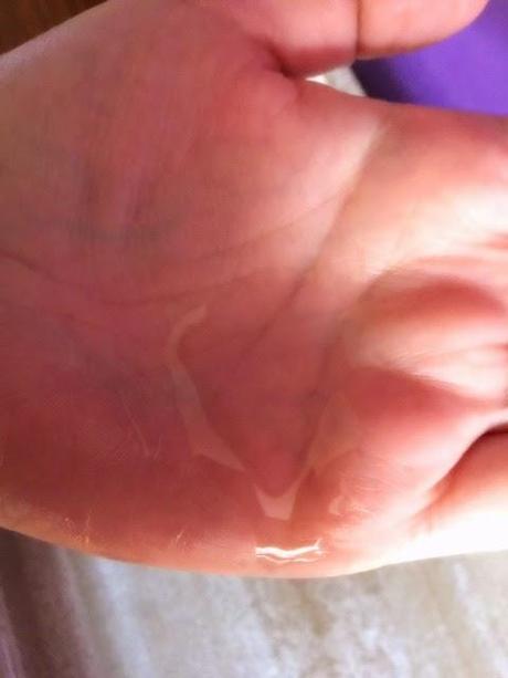 REVIVING AWAPUHI GINGER