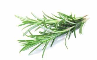 Remedios naturales con plantas para combatir el estrés Remedios naturales con plantas para combatir el estrés