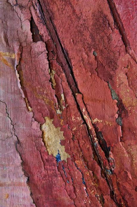 Marsala color del año