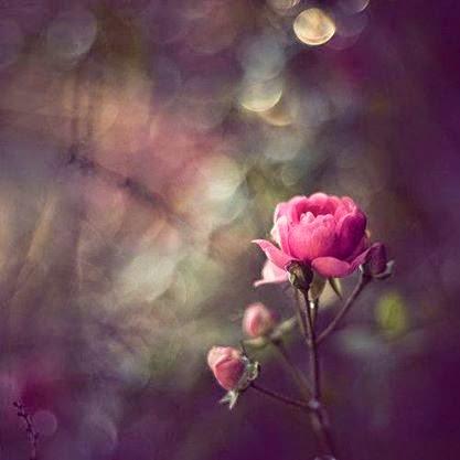 ENTIÉNDEME MUJER...