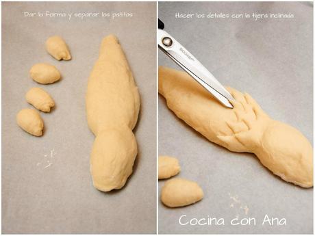  photo collagecocodrilo1_zps66vpxc4q.jpg