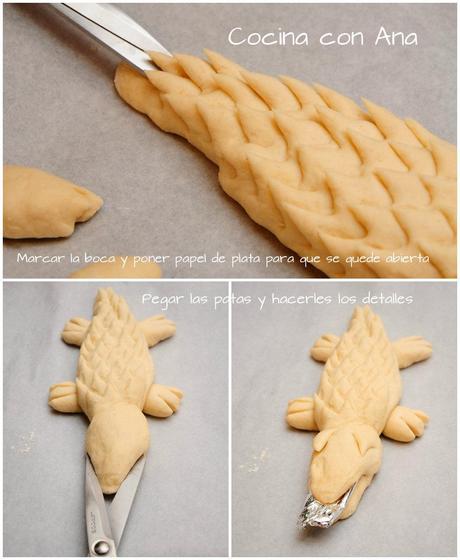  photo collagecocodrilo2_zpsyoj65eqd.jpg