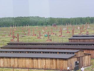 70 años de la liberación de Auschwitz