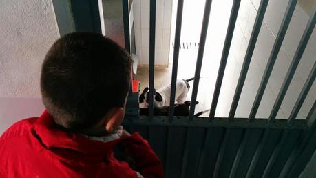 Visita al Centro Zoosanitario de Málaga