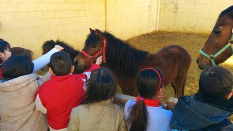 Visita al Centro Zoosanitario de Málaga