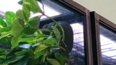 Visita al Centro Zoosanitario de Málaga