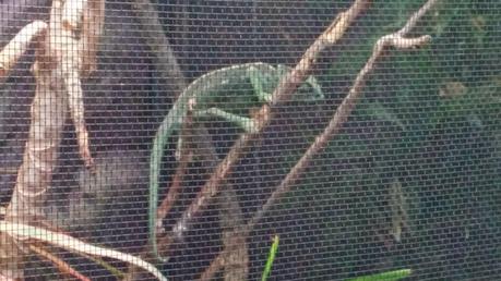 Visita al Centro Zoosanitario de Málaga