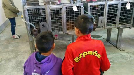 Visita al Centro Zoosanitario de Málaga
