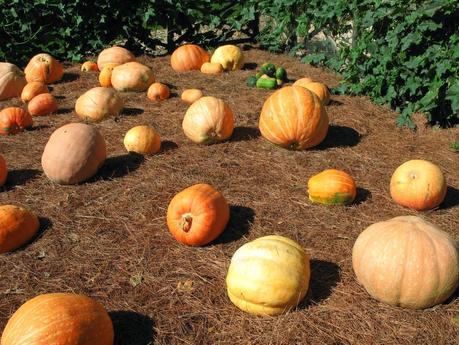 El poder de la siembra