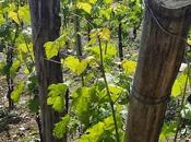 Tres planes para disfrutar Rioja