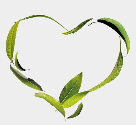 Bio-Beauté by Nuxe; la nueva generación de cosmética BIO Bio-Beauté by Nuxe; la nueva generación de cosmética BIO