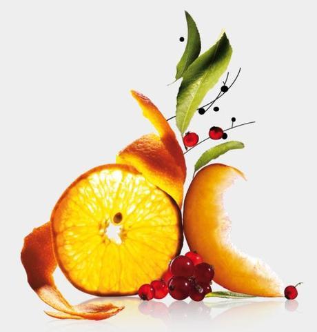 Bio-Beauté by Nuxe; la nueva generación de cosmética BIO Bio-Beauté by Nuxe; la nueva generación de cosmética BIO