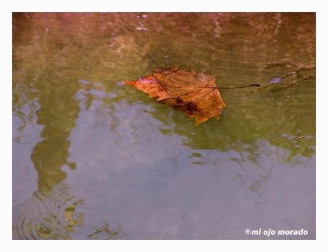 El agua que me lleva
