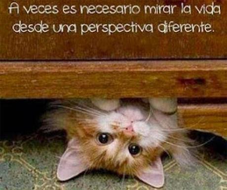 Scrapbooking: cómo inspirarte y aumentar tu creatividad