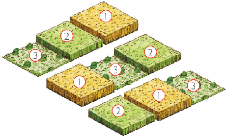 La PAC 2014-2020: Greening