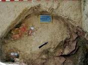 Descubierto nuevo enterramiento necrópolis calcolítica Pedrera (Sevilla)