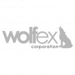 Aplicaciones móviles y seguridad en micropymes y startups Wolfex, dirección financiera para pymes y startups