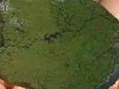 Empresas mineras trasnacionales saquean países América Latina