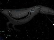 Pequeñas grandes constelaciones: Tucana