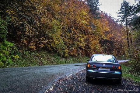 El color de la lluvia